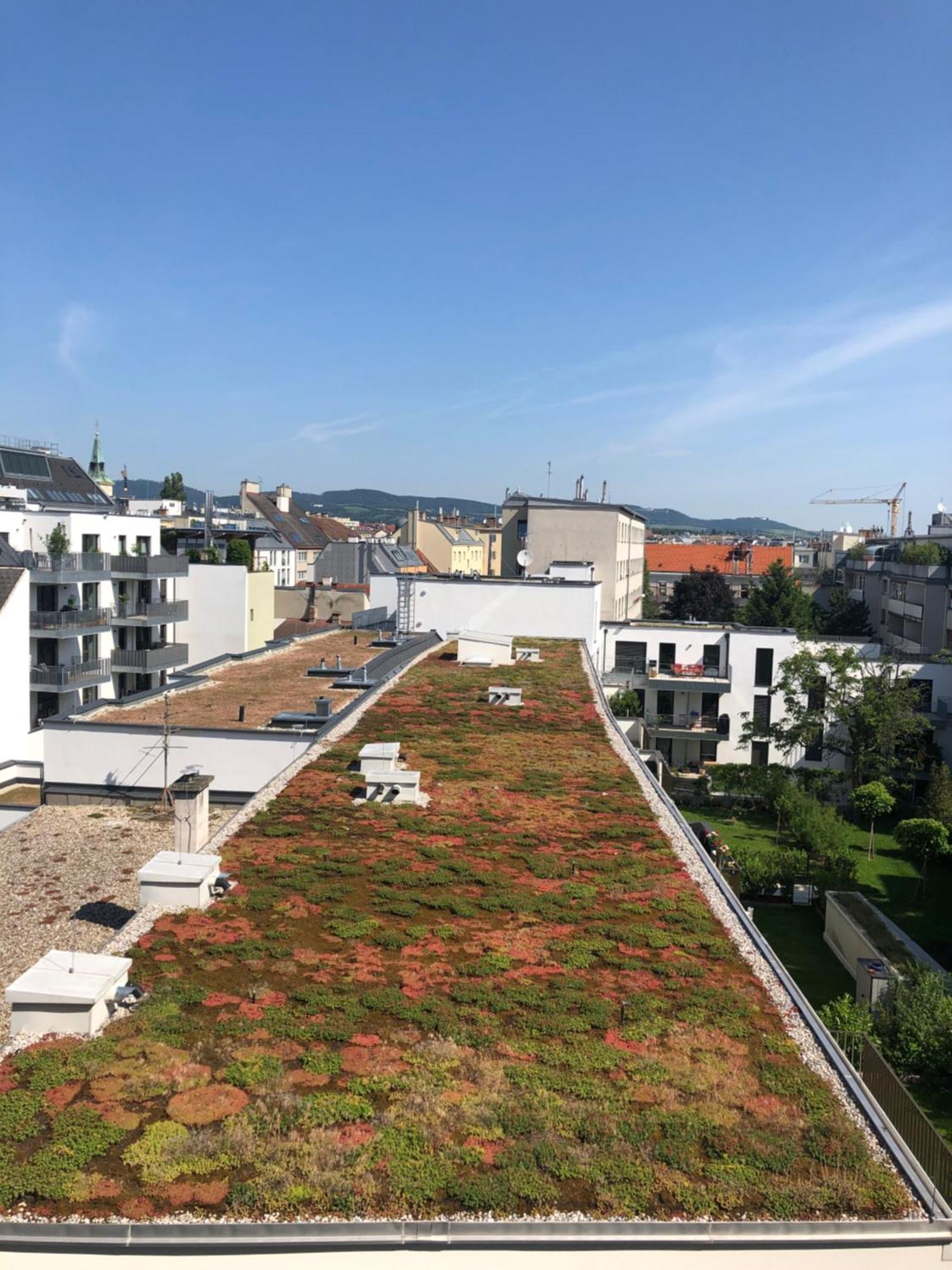 Vienna Sunny Side Up Apartments Ngoại thất bức ảnh